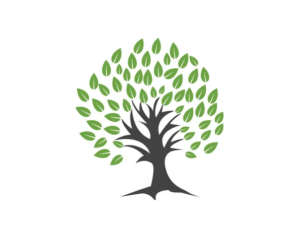 Strom Zelený Lidé Identitu Vektorové Logo Templat — Stockový vektor
