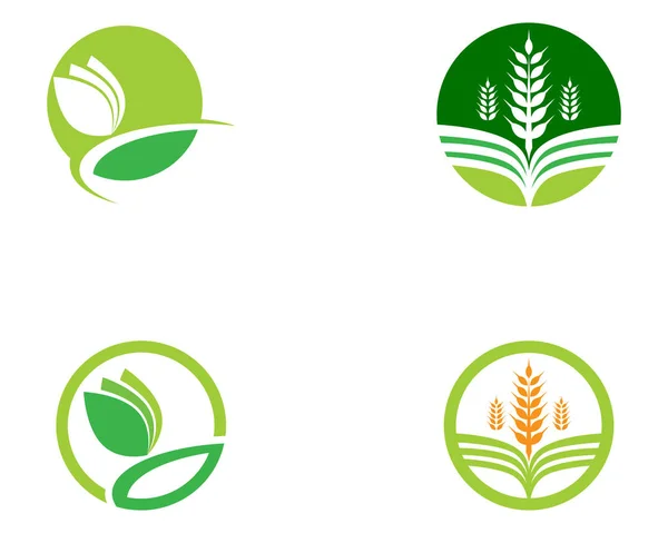 Логотип Сельского Хозяйства Уникальное Изображение Зеленого Вектора — стоковый вектор