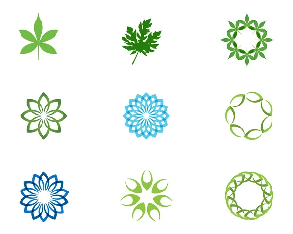 Floral Σχέδια Λογότυπο Και Σύμβολα Ένα Λευκό Backgroun — Διανυσματικό Αρχείο