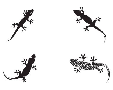 Kertenkele bukalemun Gecko siluet siyah 