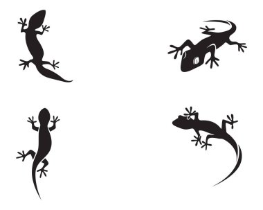 Kertenkele bukalemun Gecko siluet siyah 