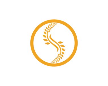 Tarım buğday şablon, sağlıklı yaşam logo vektör simgesi tasarım