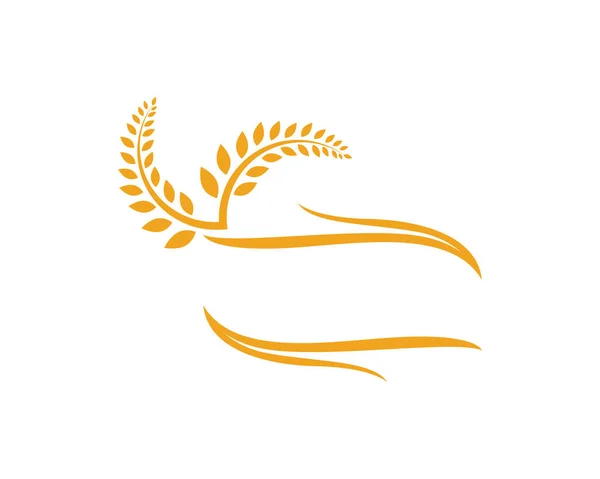 Mezőgazdasági Búza Sablon Egészséges Élet Logo Vektoros Ikon Tervezés — Stock Vector