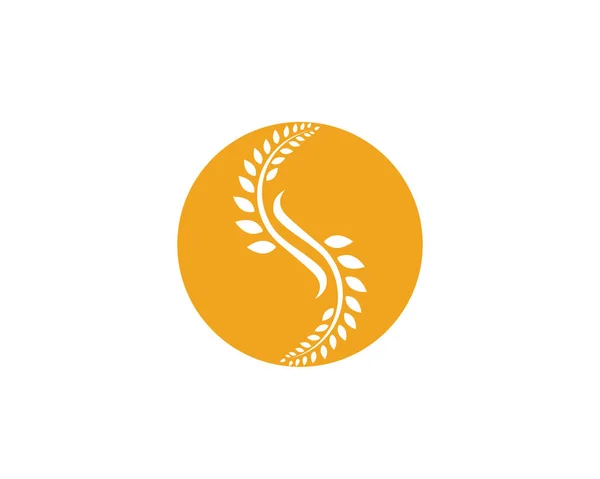 Mezőgazdasági Búza Sablon Egészséges Élet Logo Vektoros Ikon Tervezés — Stock Vector