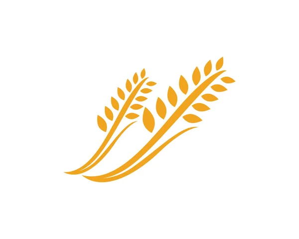 小麦農業テンプレート 健康的な生活のロゴデザイン ベクトル アイコン — ストックベクタ