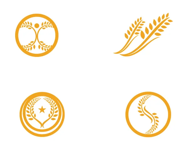 Agricoltura Grano Modello Vita Sana Logo Vector Icon Design — Vettoriale Stock