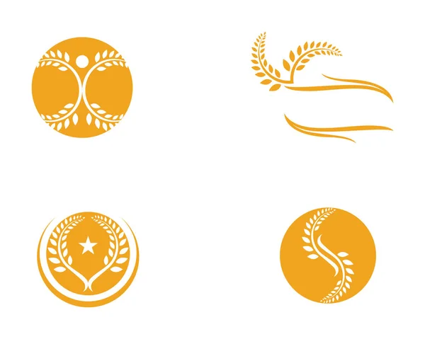 Шаблон Сільськогосподарської Пшениці Логотип Здорового Життя Векторний Дизайн Значка — стоковий вектор