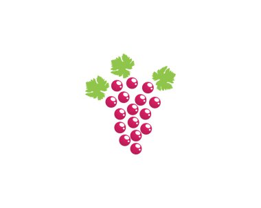 üzüm mor ve yeşil vektör illustratio