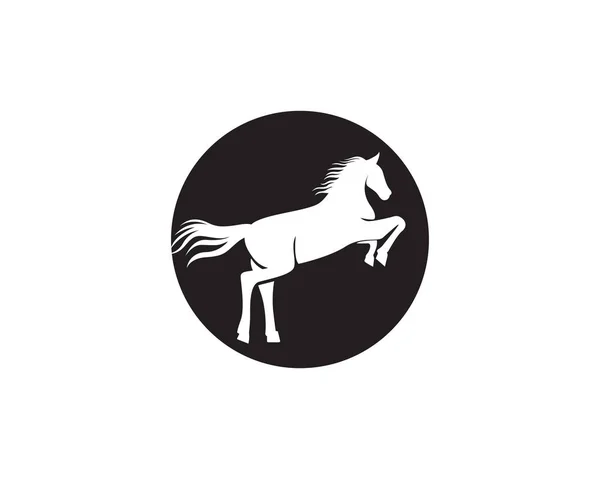 Modelo Logotipo Cavalo Vecto — Vetor de Stock
