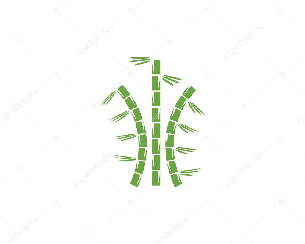 Bamboo with green leaf for your logo icon vector templat