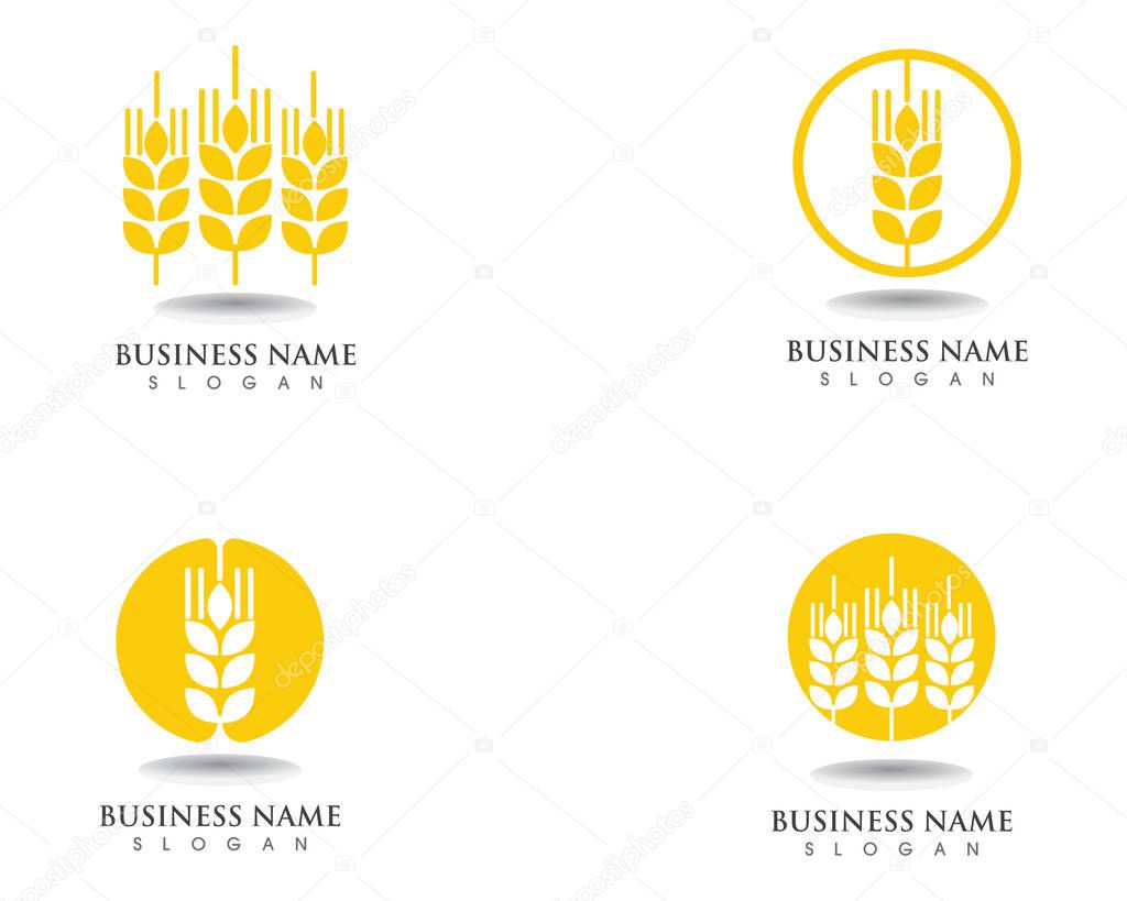 Wheat Logo Template vector icon design