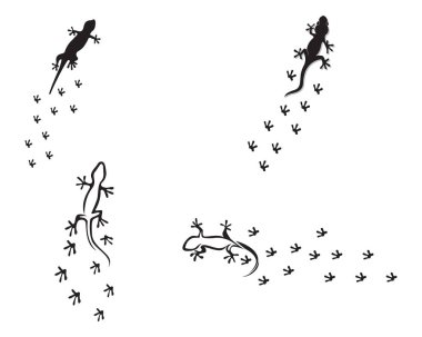 Kertenkele Bukalemun Gecko Silueti siyah vektör