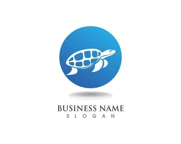 turtle animal cartoon icon image vector illustration desig