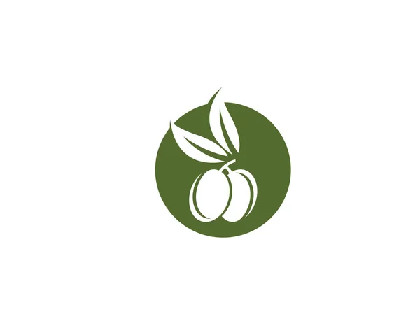 Olivolja Logotyp Mall Ikoner — Stock vektor