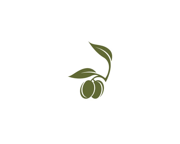 Иконки Шаблонов Оливкового Логотипа — стоковый вектор