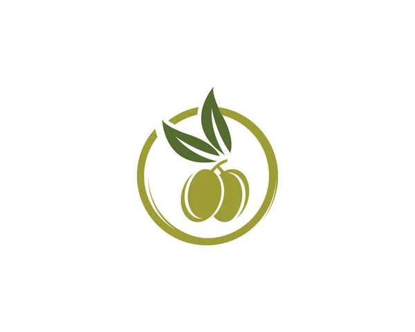 Olivová Logo Šablona Ikony — Stockový vektor