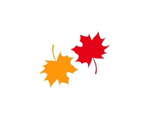 autumn Leaf vector ilustration