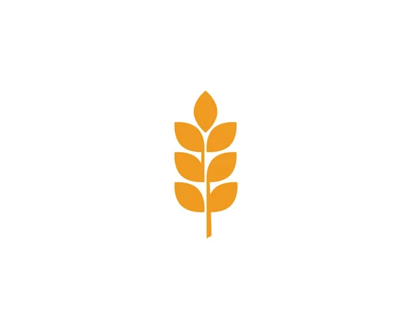 Agricultura Trigo Logotipo Vetor —  Vetores de Stock