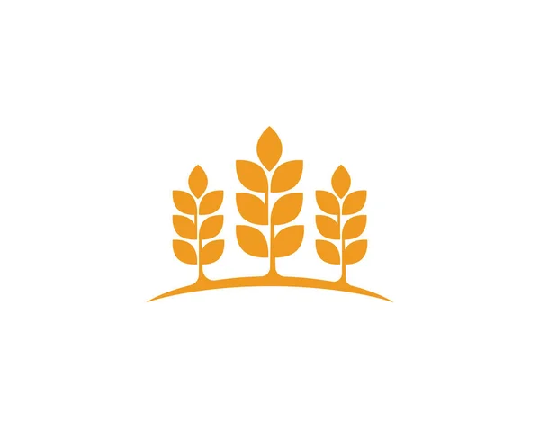 Landwirtschaft Weizen Logo Vektor — Stockvektor