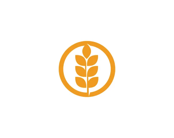 Agricoltura Vettore Logo Grano — Vettoriale Stock