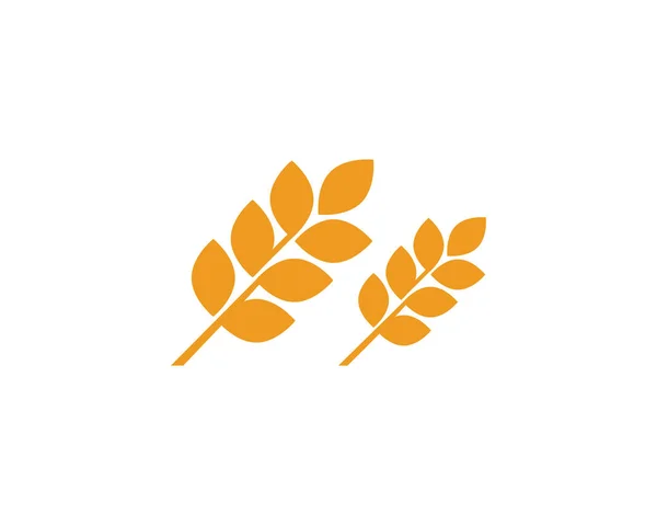 Landwirtschaft Weizen Logo Vektor — Stockvektor