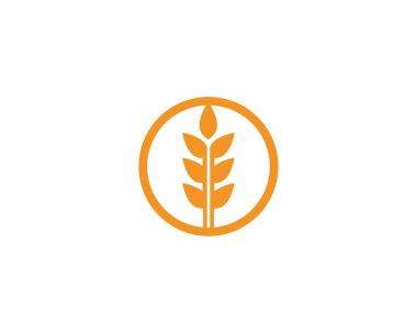 Buğday logo vektör çizim
