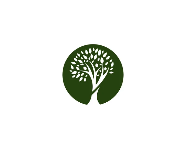 Modèle Logo Arbre Généalogique — Image vectorielle