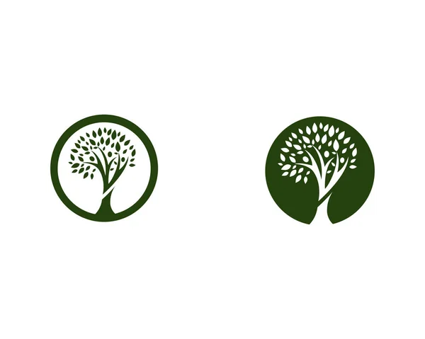 Modèle Logo Arbre Généalogique — Image vectorielle