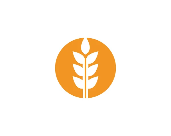 小麦のロゴのベクトル図 — ストックベクタ