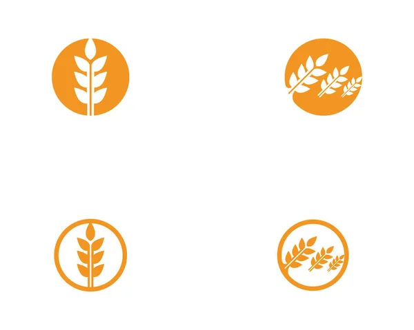 Векторная Иллюстрация Логотипа Пшеницы — стоковый вектор