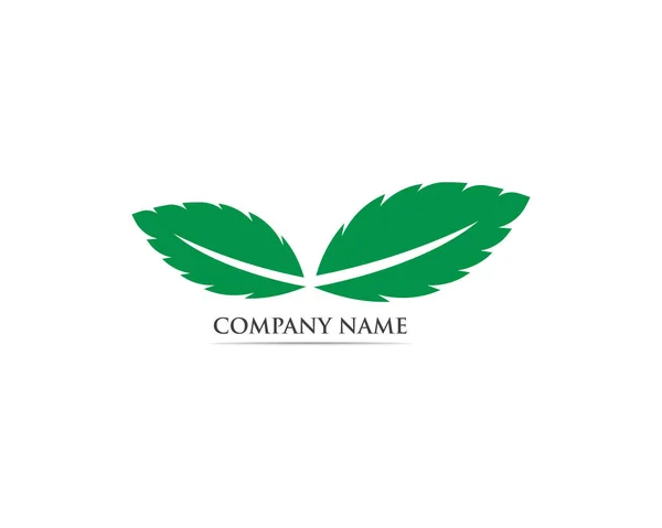 Logo Symbole Feuille Menthe — Image vectorielle