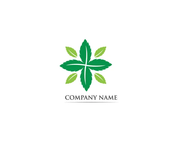 Logo Symbole Feuille Menthe — Image vectorielle