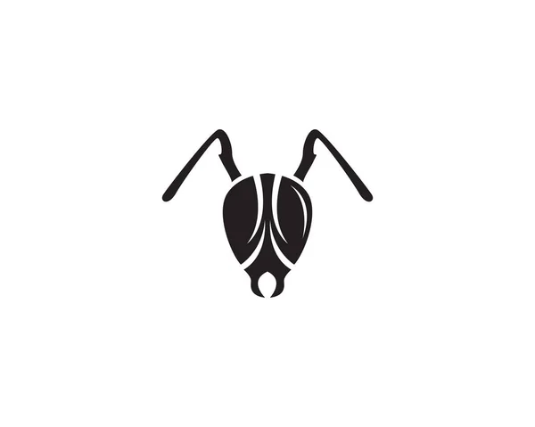 Ant Logo Template Vector Illustration Desig — Stock Vector