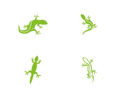 Gecko yeşil logo vektörü