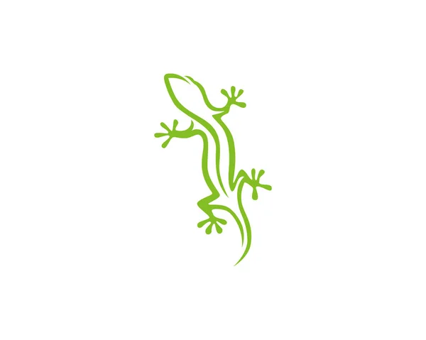 Gecko Zelený Vektor Loga — Stockový vektor