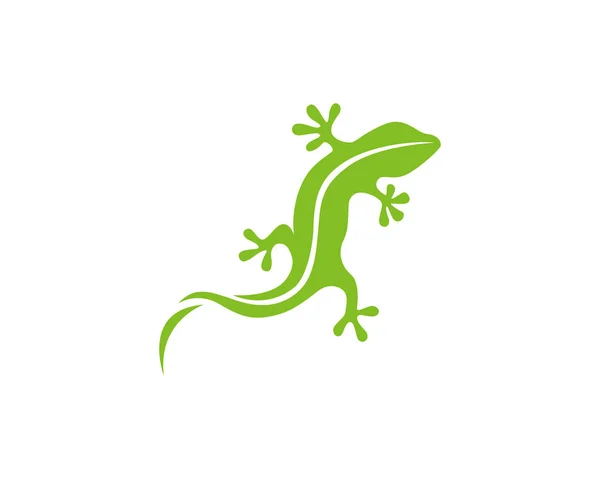 Gecko Zielony Wektor Logo — Wektor stockowy