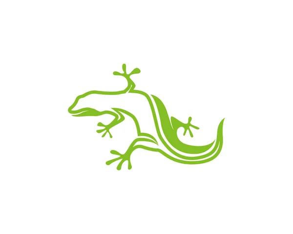 Gecko Grön Logotyp Vektor — Stock vektor