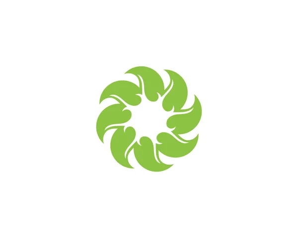 Levél Zöld Természet Jel Szimbólum Sablon Vektor — Stock Vector