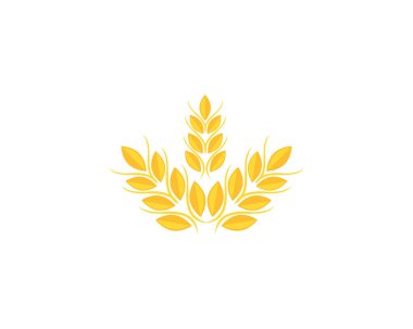 Buğday Logo şablonu vektör