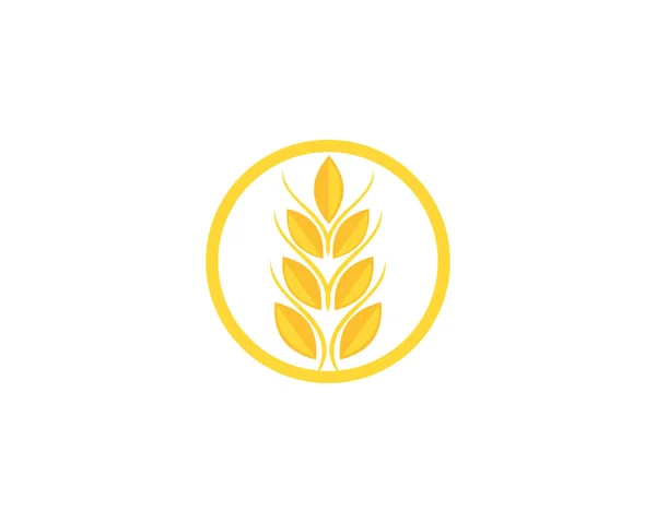 Wheat Logo Template Vector — Stock Vector