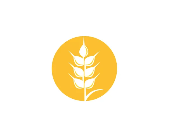 Wheat Logo Template Vector — Stock Vector