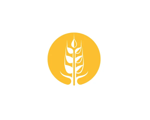 Wheat Logo Template Vector — Stock Vector