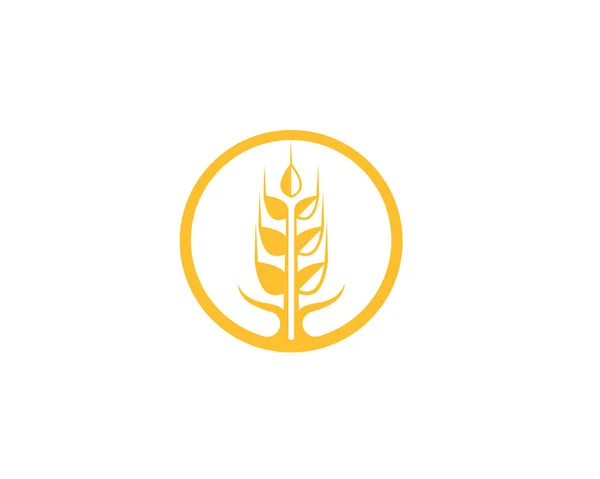 小麦のロゴのテンプレート ベクトル — ストックベクタ