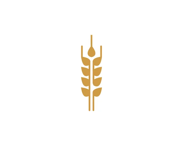 Vektorové Logo Šablona Pšenice — Stockový vektor