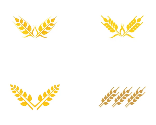 Buğday Logo Şablonu Vektör — Stok Vektör