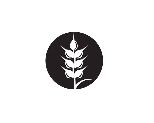 Blé Riz Alimentaire Logo Vecteur Noir — Image vectorielle