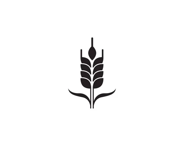 Tarwe Rijst Eten Logo Zwart Vector — Stockvector