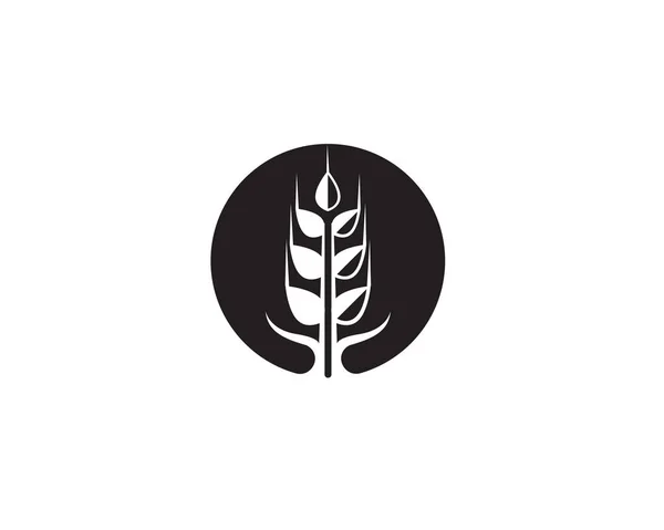 Wheat Rice Food Logo Black Vector — Stock Vector