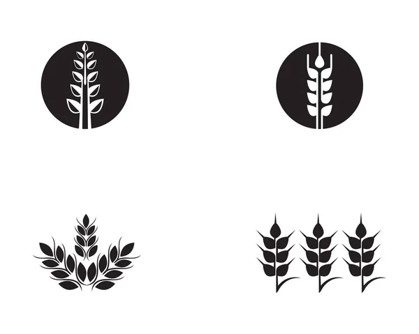 Логотип Продуктів Харчування Пшеничного Рису Чорний Вектор — стоковий вектор