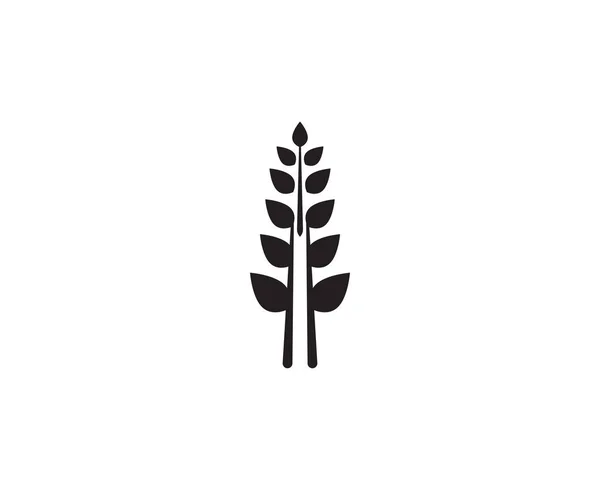 Trigo Arroz Alimento Logotipo Vetor Preto —  Vetores de Stock